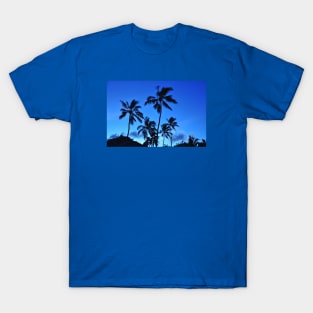 Tropical Sundown T-Shirt